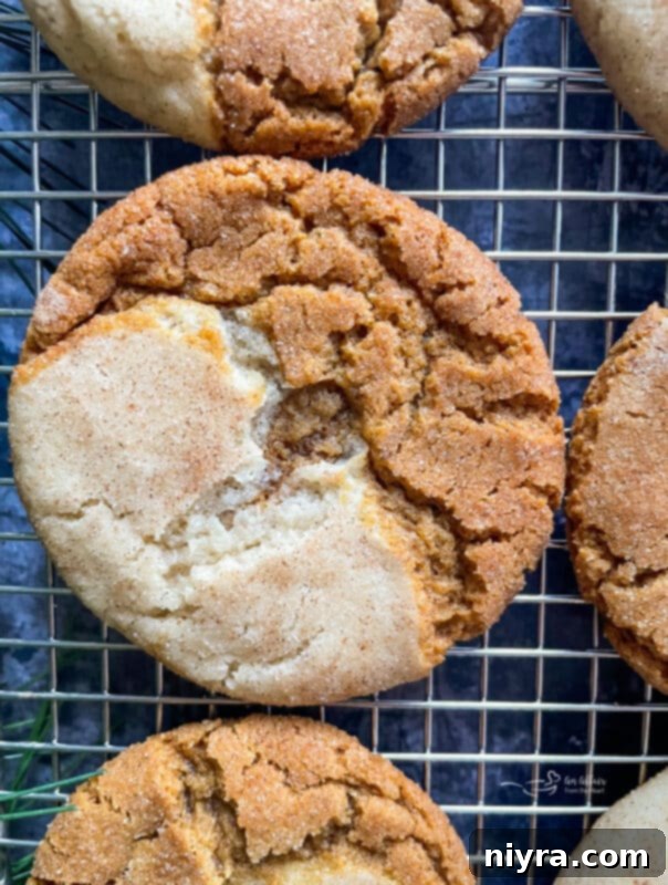 Close-up of a beautifully cracked Gingerdoodle Cookie, showcasing its chewy texture and cinnamon-sugar coating.