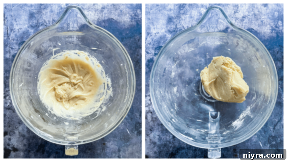 Step-by-step visual guide showing the process of making Gingerdoodle cookie doughs.
