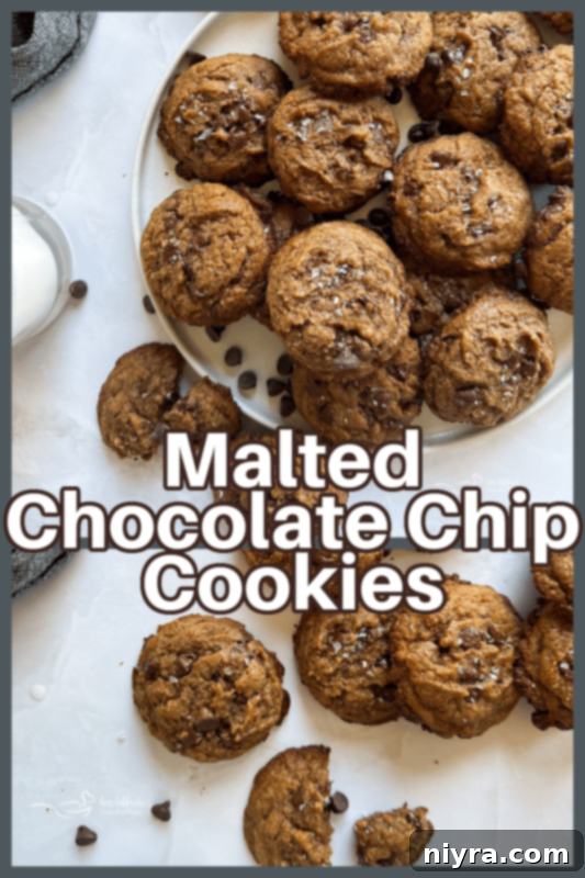 A stack of delicious Malted Chocolate Chip Cookies, ready to be enjoyed