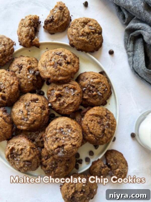 Malted Chocolate Chip Cookies on a dark background, showcasing their golden-brown edges and melted chocolate