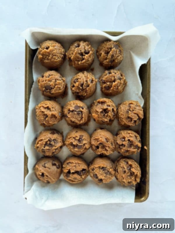 Freshly mixed Malted Chocolate Chip Cookie dough with chocolate chips