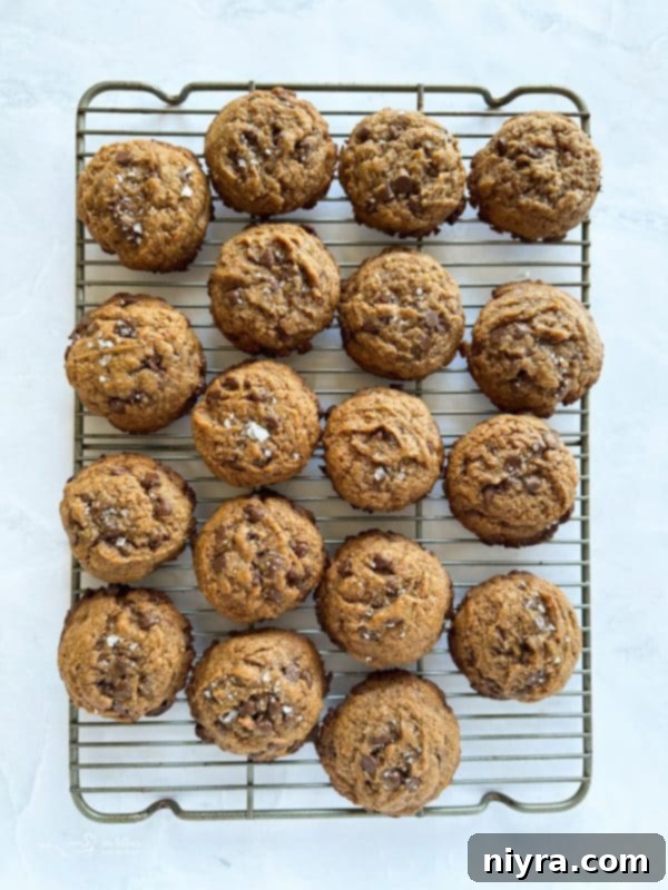Freshly baked Malted Chocolate Chip Cookies cooling on a baking sheet
