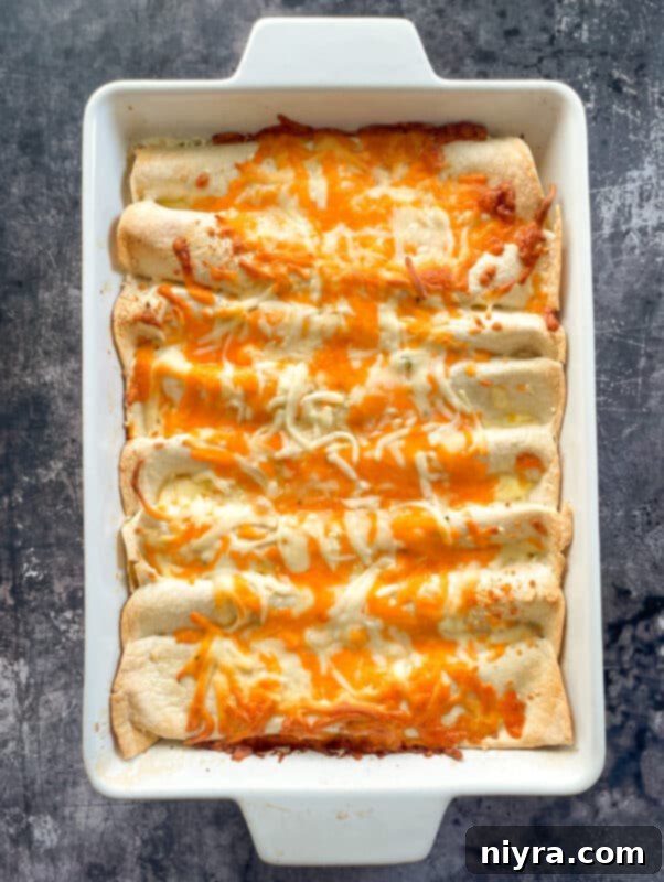 A close-up of ham and cheese enchiladas covered with an additional layer of shredded cheese, ready for baking.