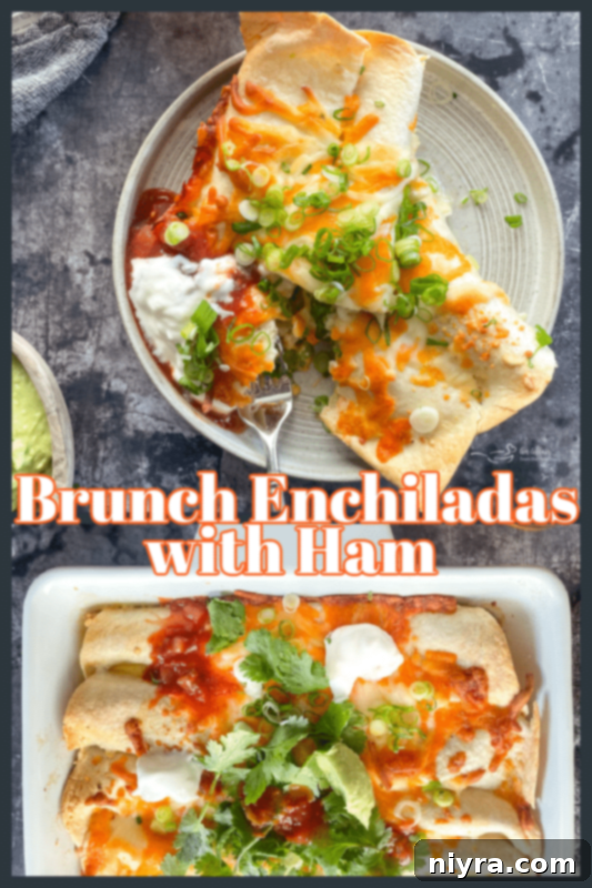 Close-up of golden brown ham and cheese brunch enchiladas with a rich, creamy sauce.