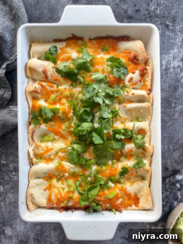 Close-up of baked ham and cheese enchiladas in a casserole dish, topped with fresh green onions.