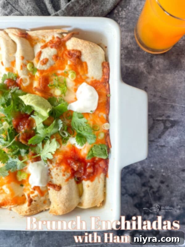 A stunning overhead shot of the finished Brunch Enchiladas with Ham, perfectly golden, bubbly, and garnished with fresh cilantro.