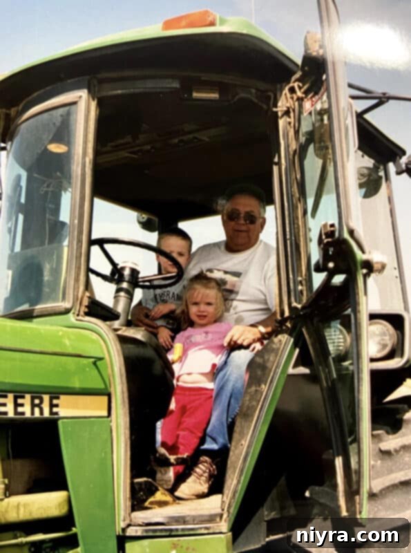 A vibrant, close-up image showcasing freshly harvested corn on the cob, symbolizing agricultural abundance.