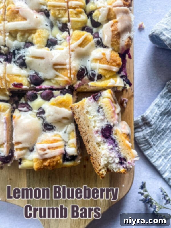 Zesty Lemon Blueberry Crumb Bars 16 img 286 17