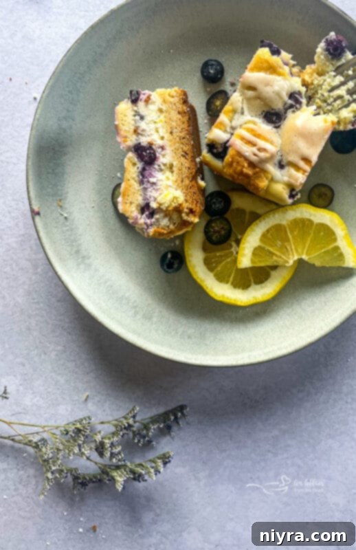 Zesty Lemon Blueberry Crumb Bars 4 img 286 3