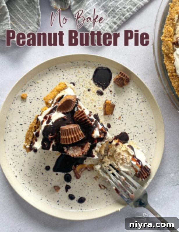 No Bake Peanut Butter Pie ready to be served