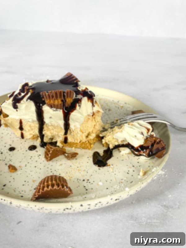 Close-up of a Peanut Butter Pie Slice with a Fork