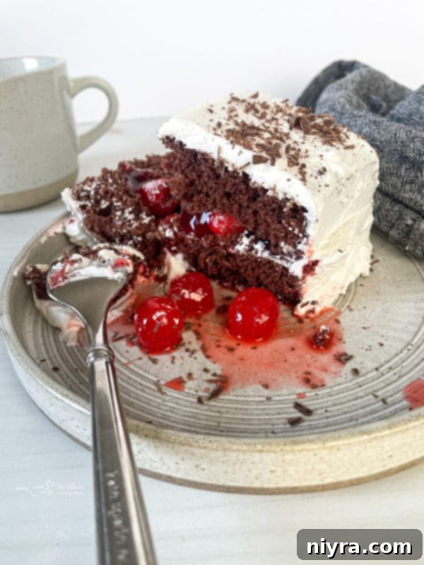 A beautifully presented slice of Black Forest Cake topped with fluffy Cool Whip, tempting and ready to be enjoyed.