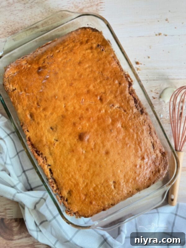 Remove the Cake from Oven