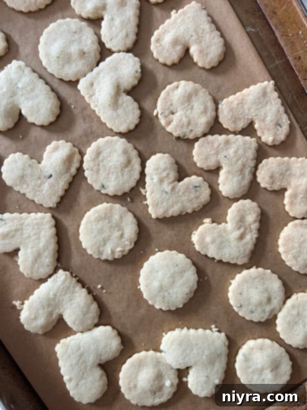 Lavender Shortbread and Lavender Strawberry Dream 17 A baking sheet filled with perfectly cut shortbread cookies, ready for the oven.