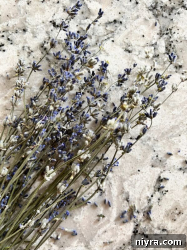 Lavender Shortbread and Lavender Strawberry Dream 4 Close-up of dried culinary lavender buds in a small wooden bowl, ready for baking.