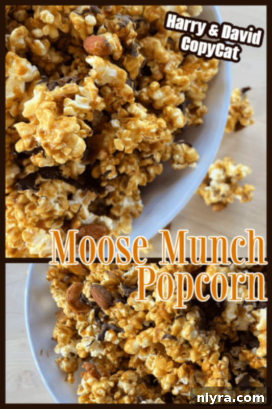 Ultimate Homemade Caramel Chocolate Nut Popcorn 18 Homemade Moose Munch Popcorn elegantly presented in a festive bowl