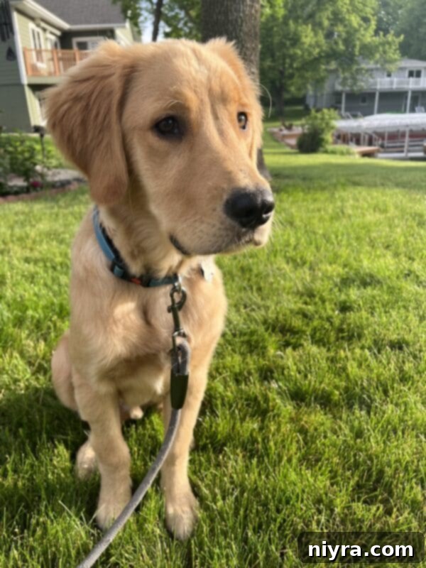 Ultimate Homemade Caramel Chocolate Nut Popcorn 6 A collection of ingredients laid out for making Homemade Moose Munch Popcorn