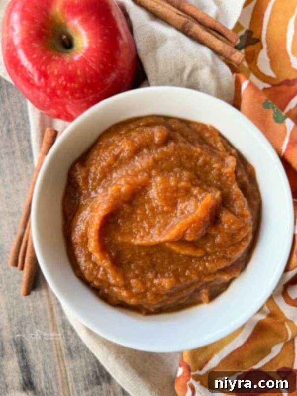Instant Pot Pumpkin Applesauce in a bowl with cinnamon stick garnish