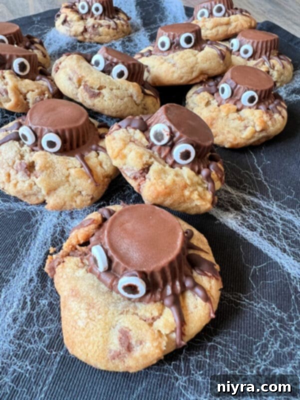 Close-up of a finished Halloween Spider Cookie with a Reese's Peanut Butter Cup spider and candy eyes.