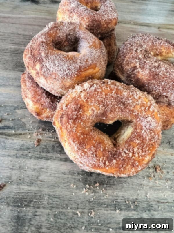 Air fryer donut holes tossed in pumpkin spice sugar, served in a small bowl
