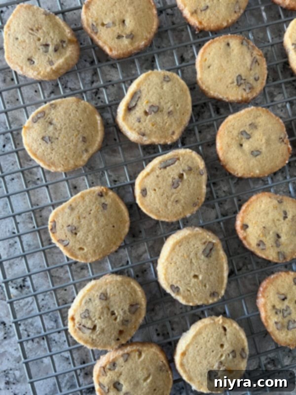 Sliced Orange Ginger Refrigerator Cookie dough pieces arranged on a parchment-lined baking sheet.