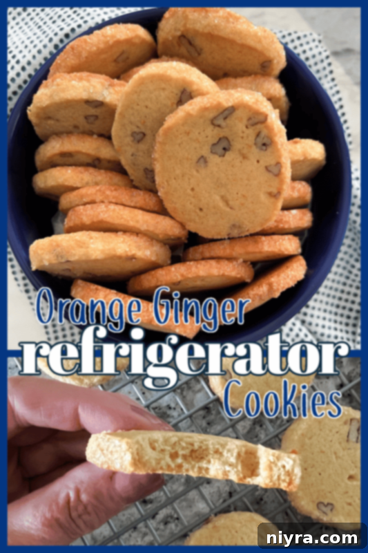 A freshly baked Orange Ginger Refrigerator Cookie broken in half, showing its tender interior.