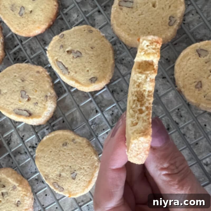 An array of baked Orange Ginger Refrigerator Cookies cooling on a wire rack.