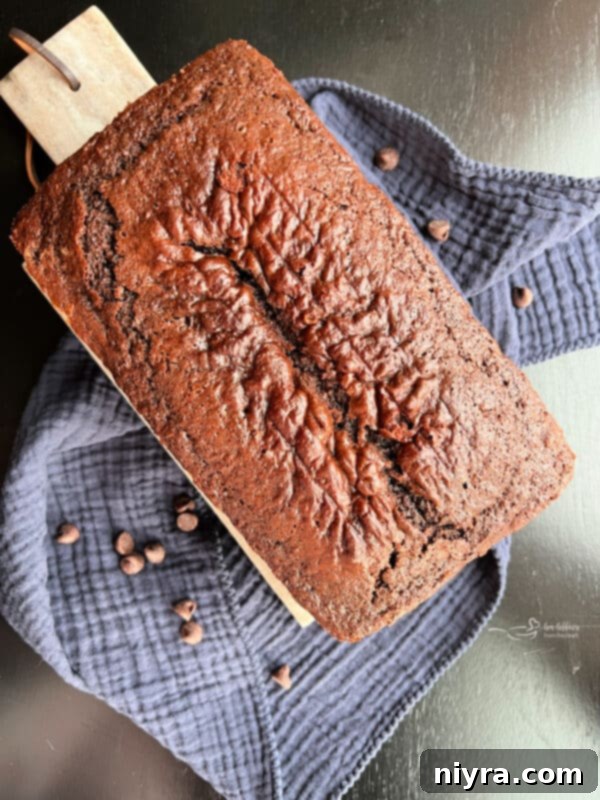 Close-up of a slice of Chocolate Sauerkraut Pound Cake with chocolate chips, on a white plate