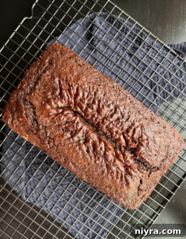 Freshly baked Chocolate Sauerkraut Pound Cake in a loaf pan, cooling