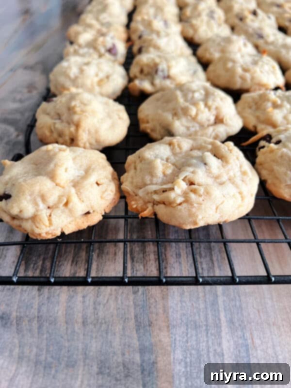 A plate of golden brown cornflake cookies with powdered sugar