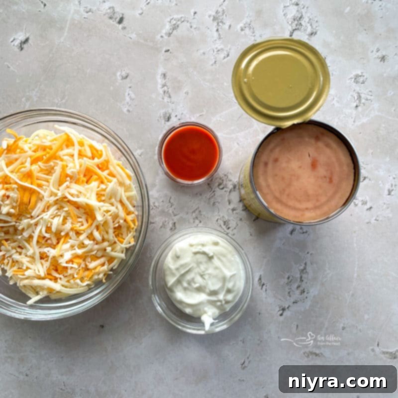 ingredients for Mexican bean dip