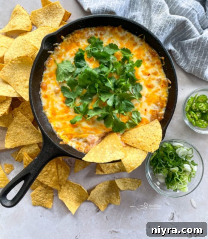 Mexican bean dip with tortilla chips on top