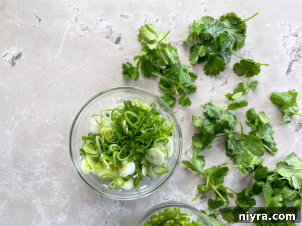 garnish for bean dip