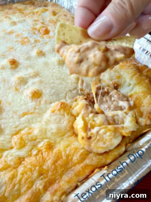 Texas Trash Dip on a chip, showing gooey cheese and bean mixture