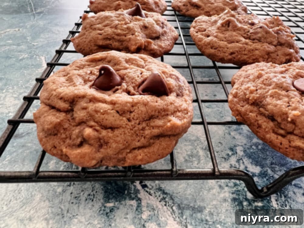 Close-up of baked Bailey's Chocolate Chip Cookies