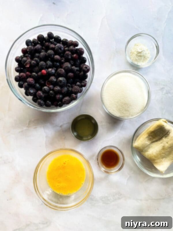 Ingredients for homemade blueberry toaster strudels laid out on a table: blueberries, lemon, sugar, cornstarch, vanilla, puff pastry, and egg.