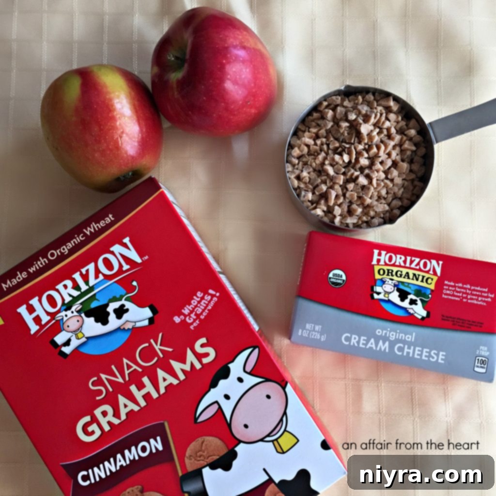 A beautifully arranged platter featuring Horizon Organic Apple Dip, crisp apple slices, and crunchy cinnamon graham crackers, perfect for sharing.