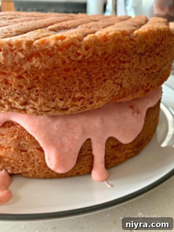 Luscious Strawberry Delight 8 Strawberry Cake