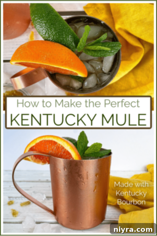 A visual guide showing how to make a perfect Kentucky Mule cocktail.