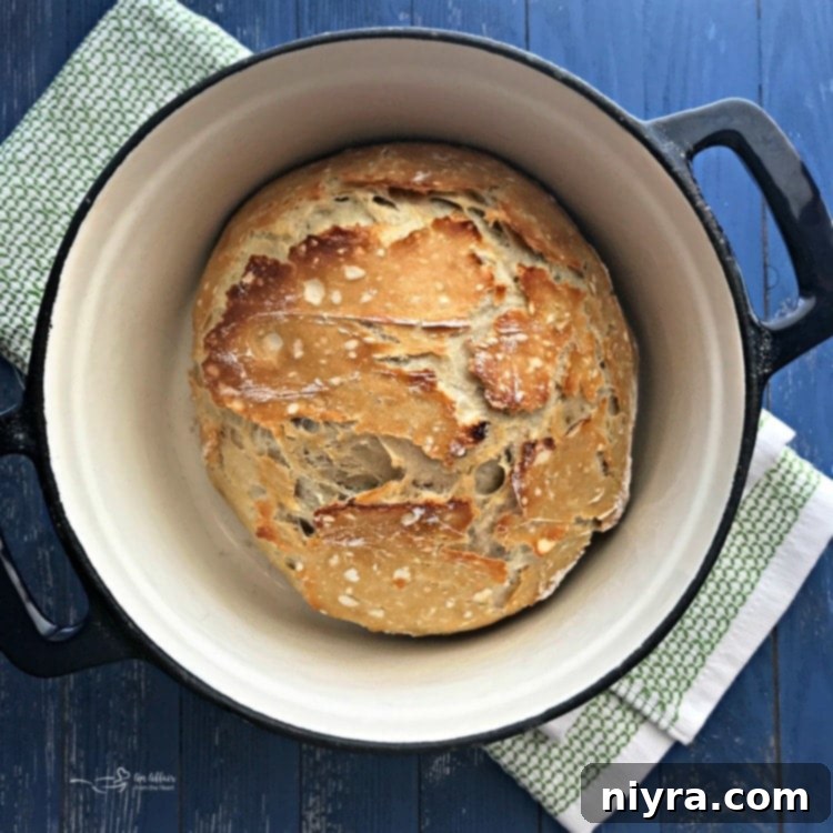 No-Knead Crusty Dutch Oven Bread, freshly baked