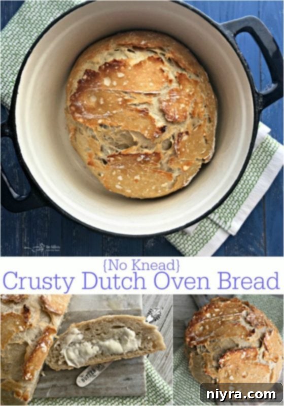 No-Knead Crusty Ducth Oven Bread - Golden brown and inviting
