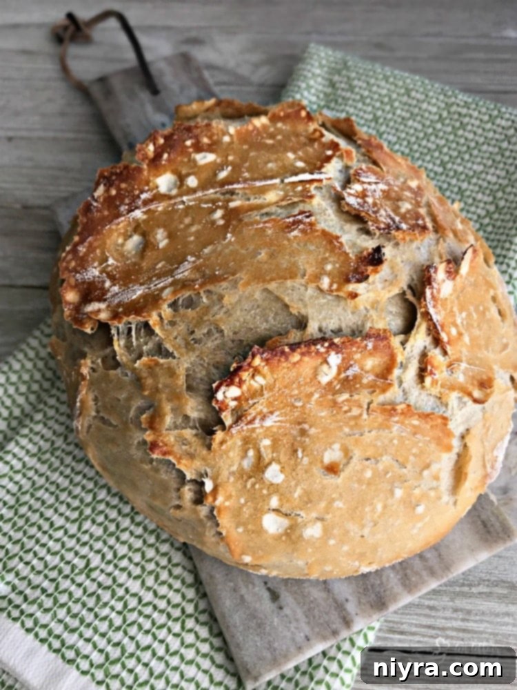 Beautifully baked No-Knead Crusty Dutch Oven Bread