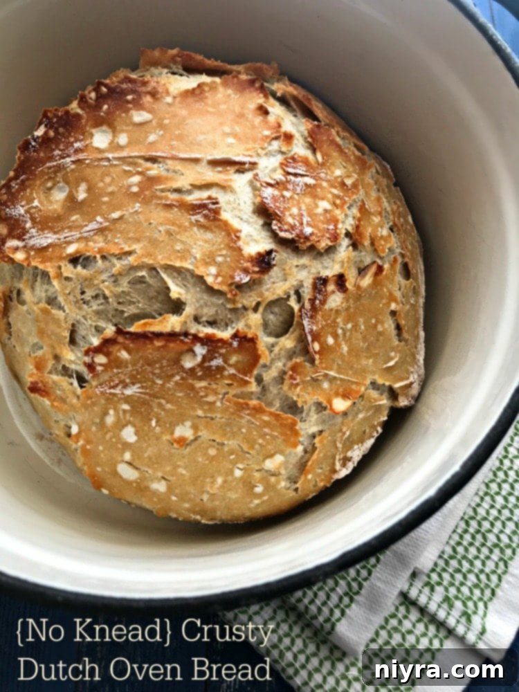 {No Knead} Crusty Dutch Oven Bread, side view