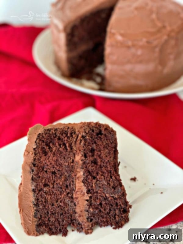 Several slices of the moist and rich Sauerkraut Chocolate Cake arranged on a platter.