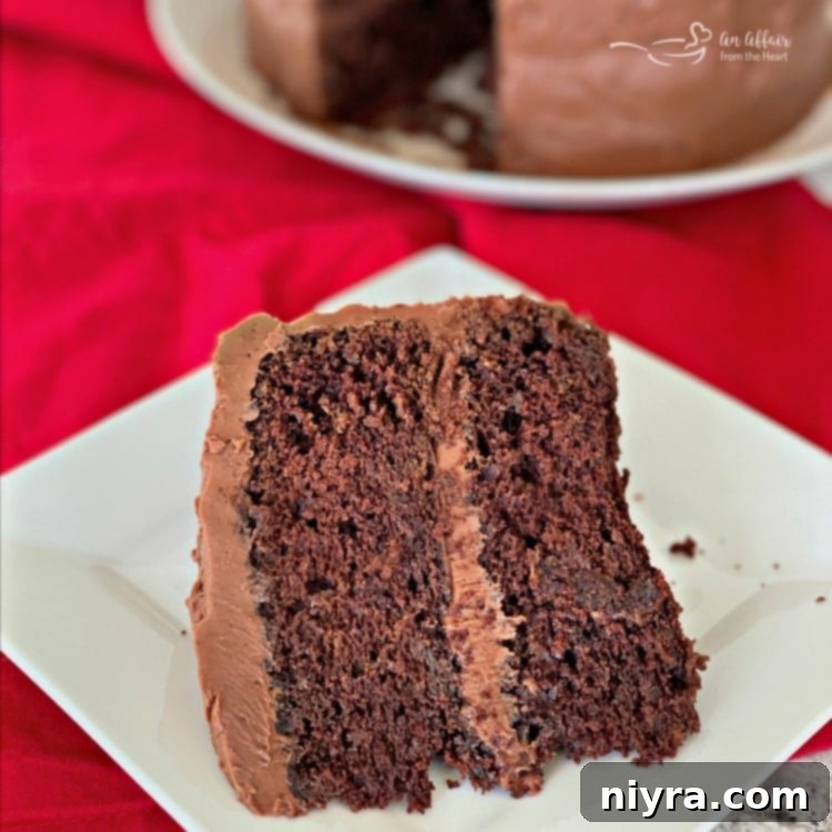 A square arrangement of Sauerkraut Chocolate Cake slices, emphasizing its rich texture.
