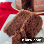 The BEST Sauerkraut Chocolate Cake slice on a white plate