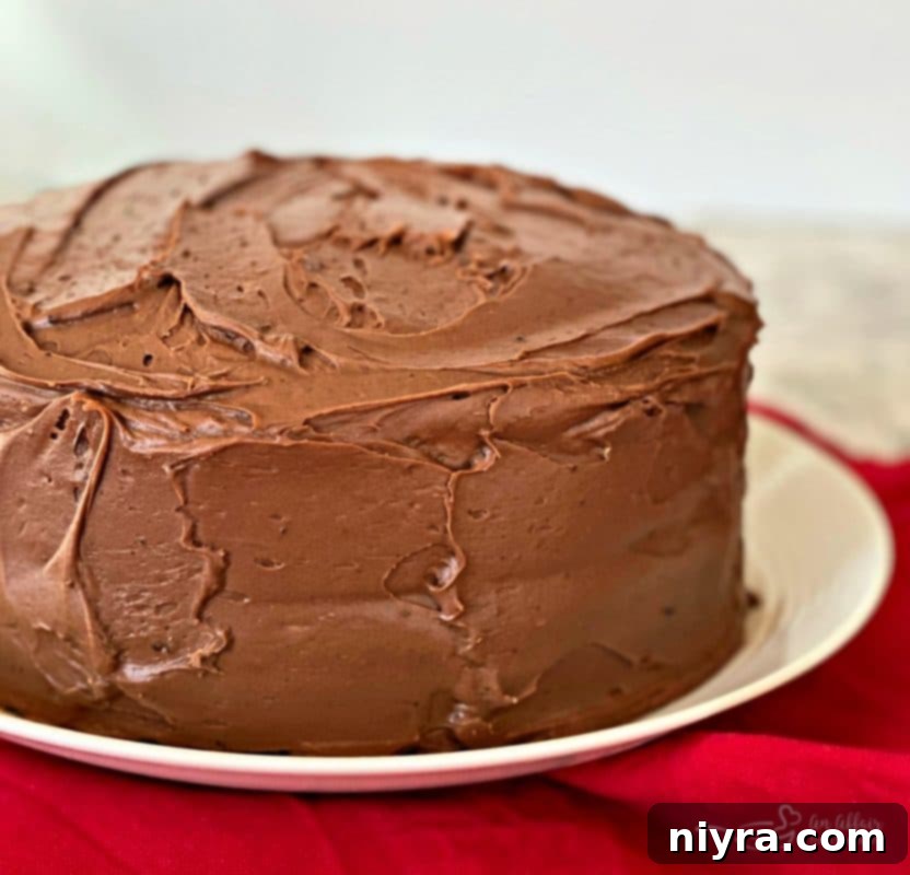 A stunning whole Sauerkraut Chocolate Cake, beautifully frosted and ready to be served.
