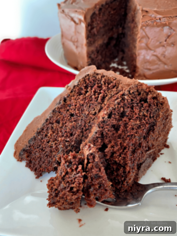 A perfectly baked and frosted Sauerkraut Chocolate Cake, presented for a celebratory occasion.