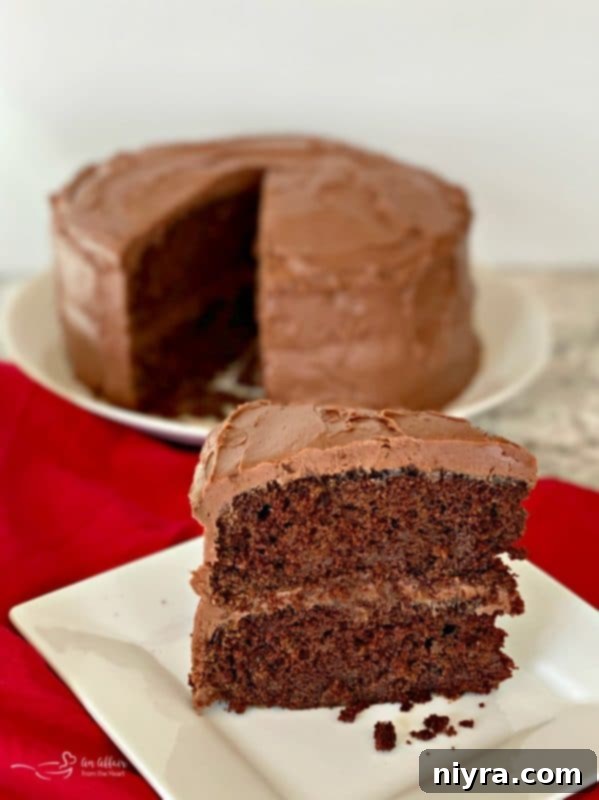 An inviting slice of Sauerkraut Chocolate Cake on a white background.