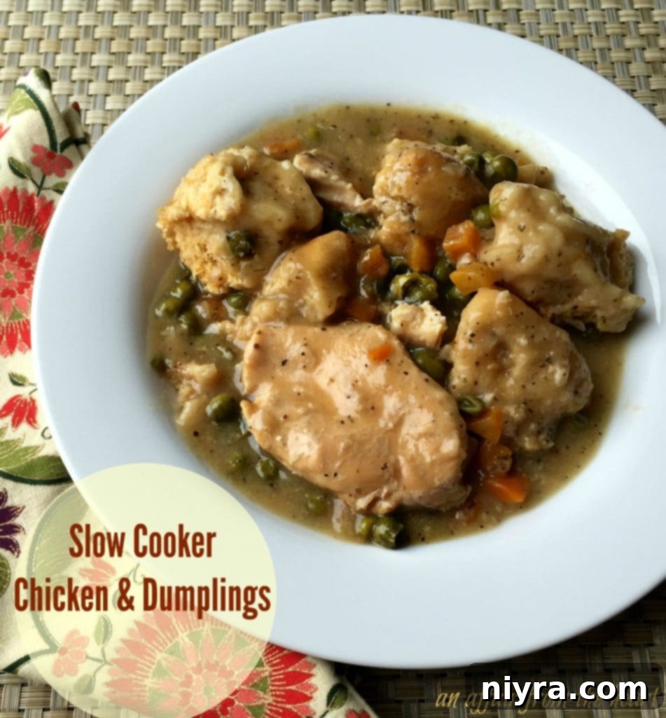 Homestyle Slow Cooker Chicken and Dumplings 2 Hearty Slow Cooker Chicken and Dumplings served in a white bowl